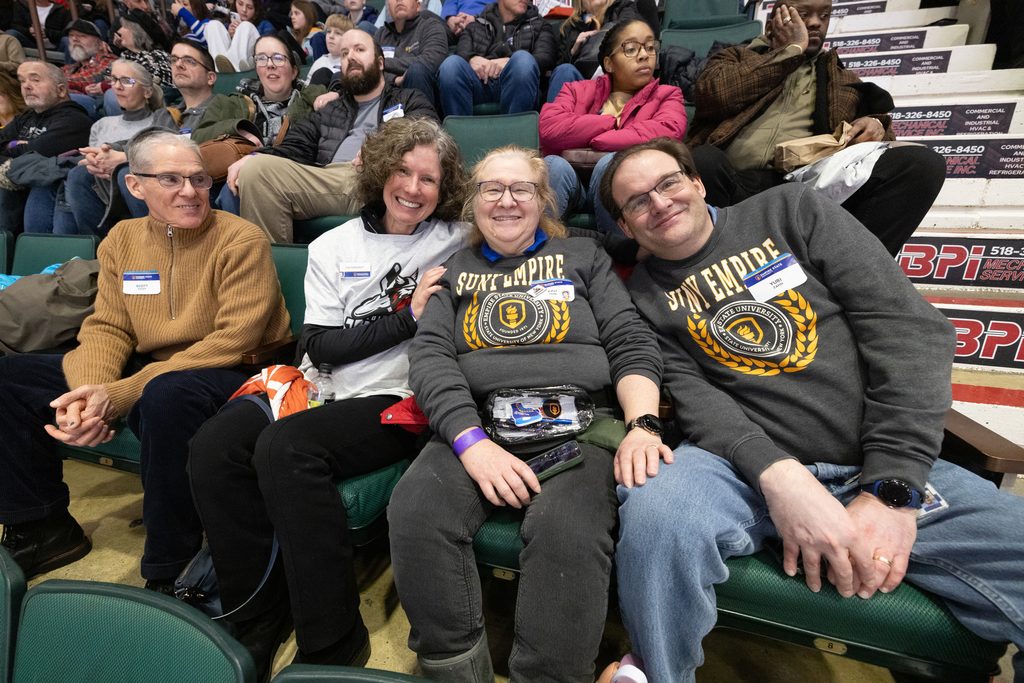people in the stands at a hockey game